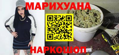 индика Славгород